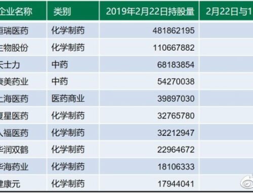 2019年沪股通外资持股情况